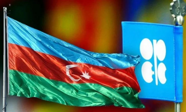 OPEC: Azərbaycanda maye karbohidrogenlərin hasilatı artacaq