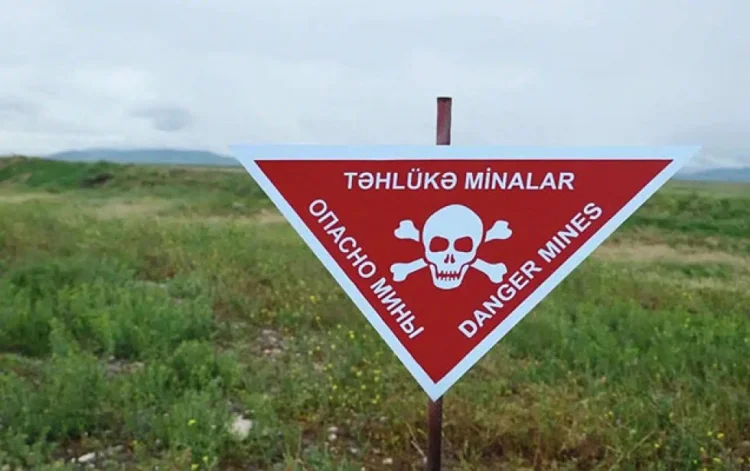 Laçının Sus kəndində çoban minaya düşüb