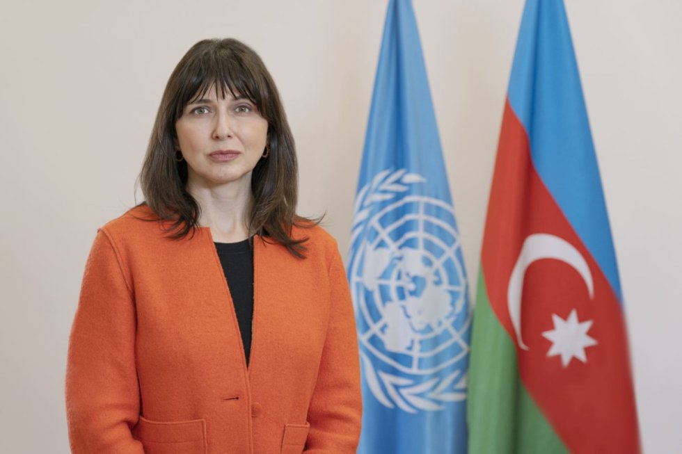 Azərbaycanda mina ilə bağlı vəziyyət məyusedicidir